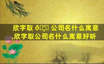 欣字取 🦁 公司名什么寓意,欣字取公司名什么寓意好听